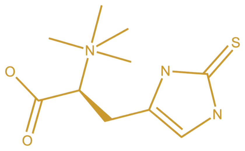 L-ergothioneine structural formula